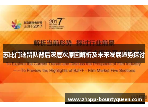 苏比门迪留队背后深层次原因解析及未来发展趋势探讨